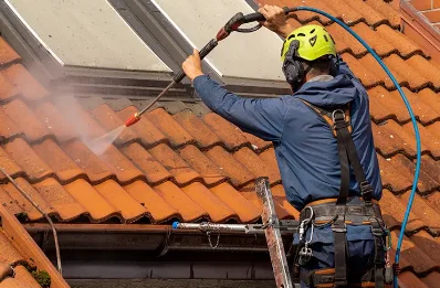 Démoussage et hydrofuge de toiture à Bloye